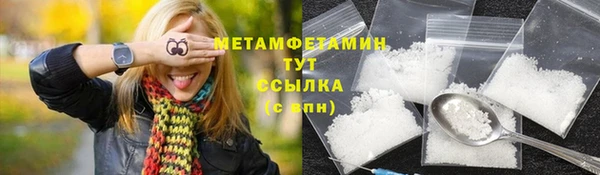 ГАЛЛЮЦИНОГЕННЫЕ ГРИБЫ Осинники