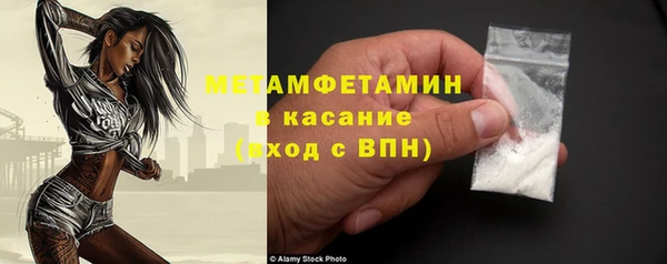 ГАЛЛЮЦИНОГЕННЫЕ ГРИБЫ Осинники