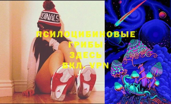 ГАЛЛЮЦИНОГЕННЫЕ ГРИБЫ Осинники
