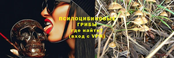 индика Переславль-Залесский