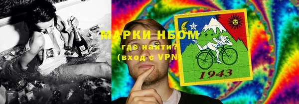 индика Переславль-Залесский