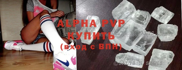 ГАЛЛЮЦИНОГЕННЫЕ ГРИБЫ Осинники