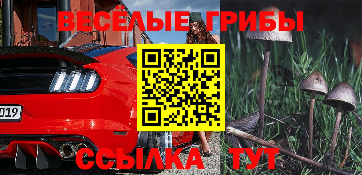 Псилоцибиновые грибы прущие грибы Амурск
