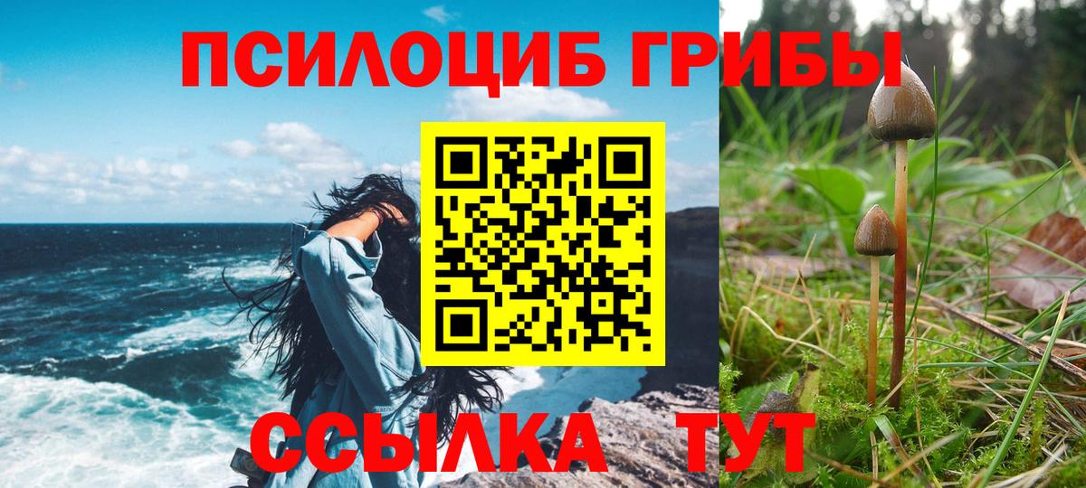 Псилоцибиновые грибы прущие грибы Амурск