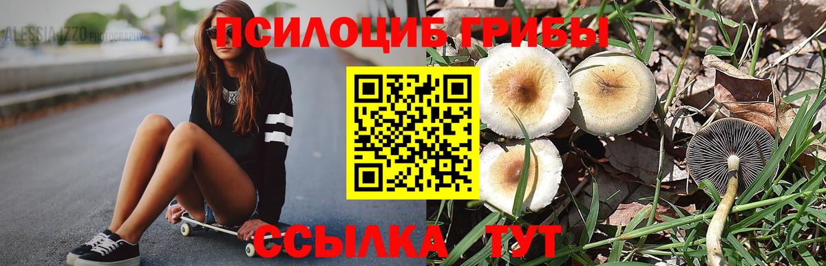 Галлюциногенные грибы мухоморы  Амурск  Псилоцибиновые грибы прущие грибы 