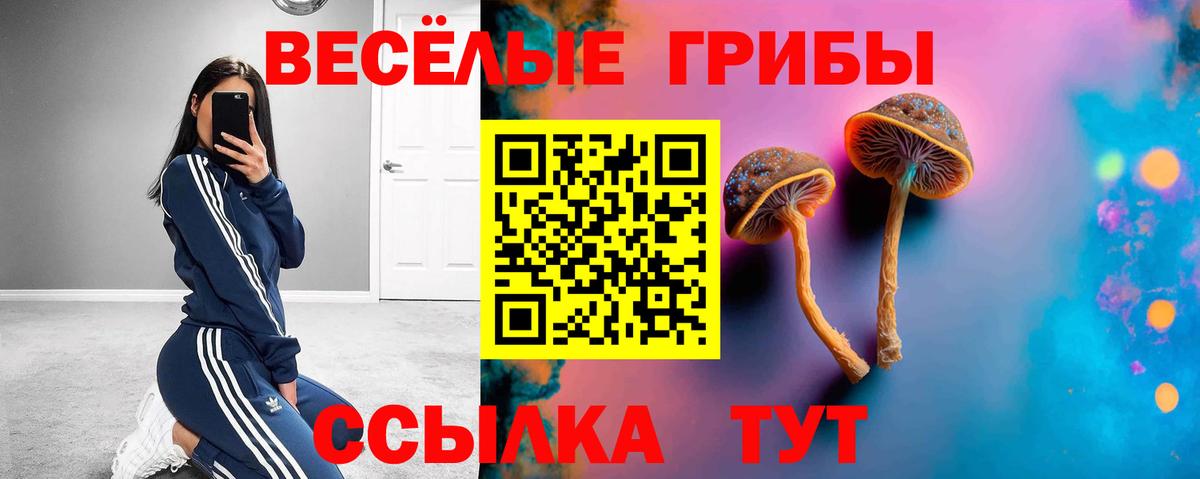 Псилоцибиновые грибы Cubensis  Вход с VPN  Амурск 