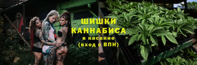 где продают   Амурск  Бошки марихуана OG Kush 